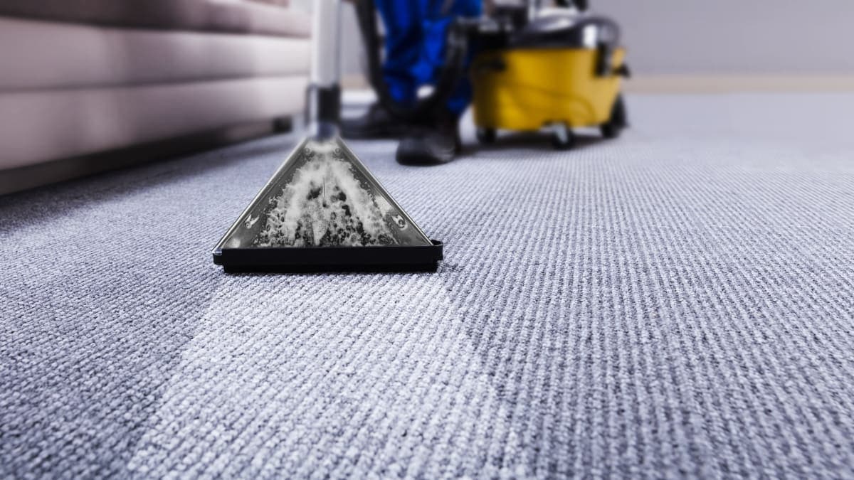 cleaning a strip of carpet.